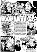 Click here to see Part 1 of the Evolution series image page
